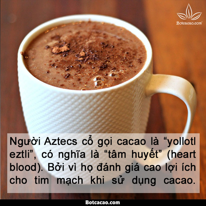 lợi ích từ cacao 6