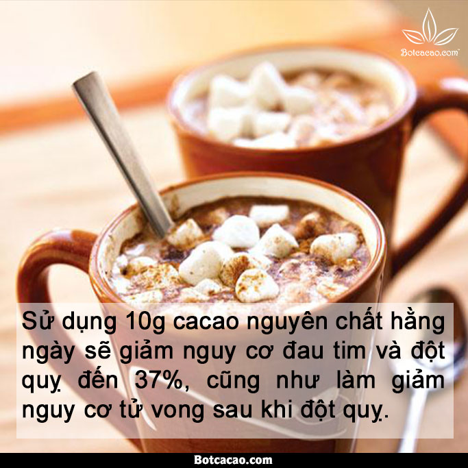 lợi ích từ cacao 5