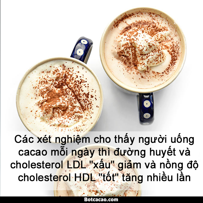 lợi ích từ cacao 7