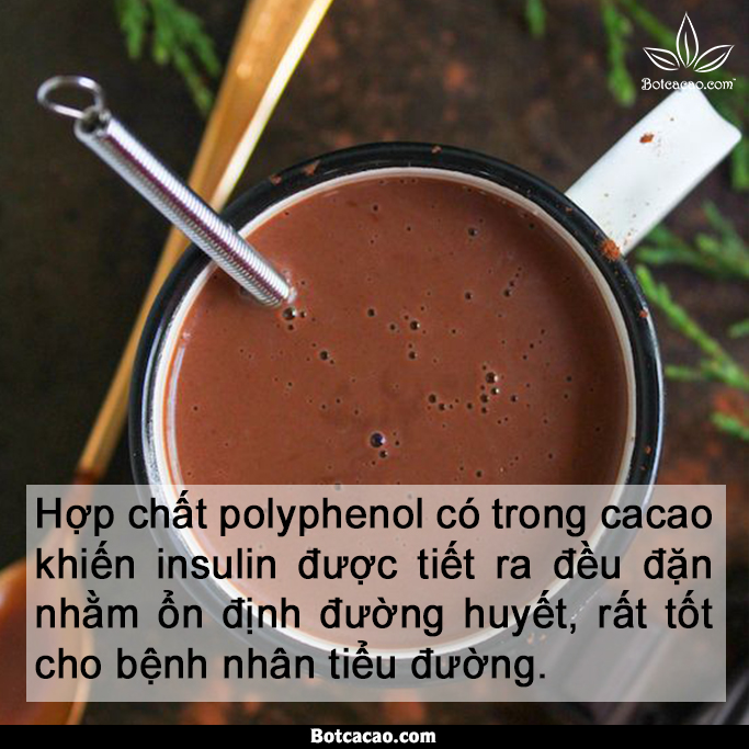 lợi ích từ cacao