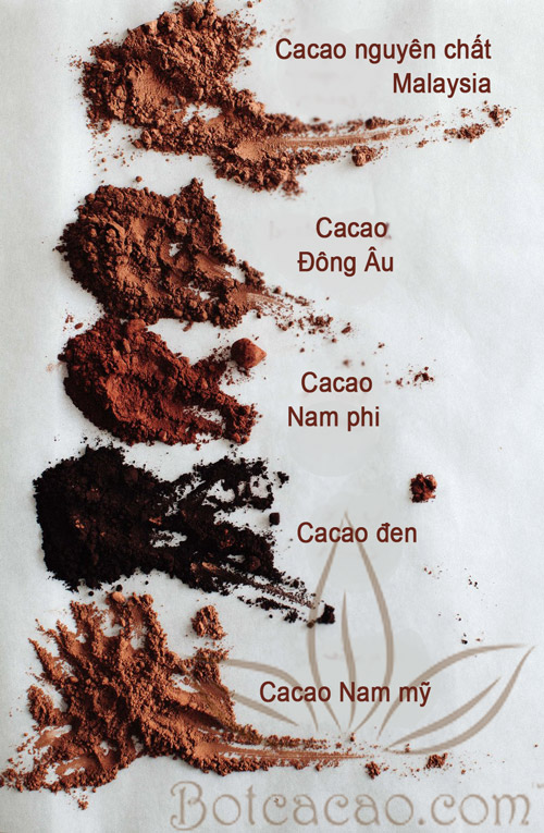 màu sắc bột cacao